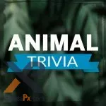 Animal Trivia