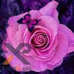 Purple Roses Puzzle